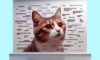 Cat Meme Success: Your Guide to Feline Internet Fame