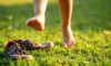 Barefoot Footwear’s Orthopaedic Effects on Children