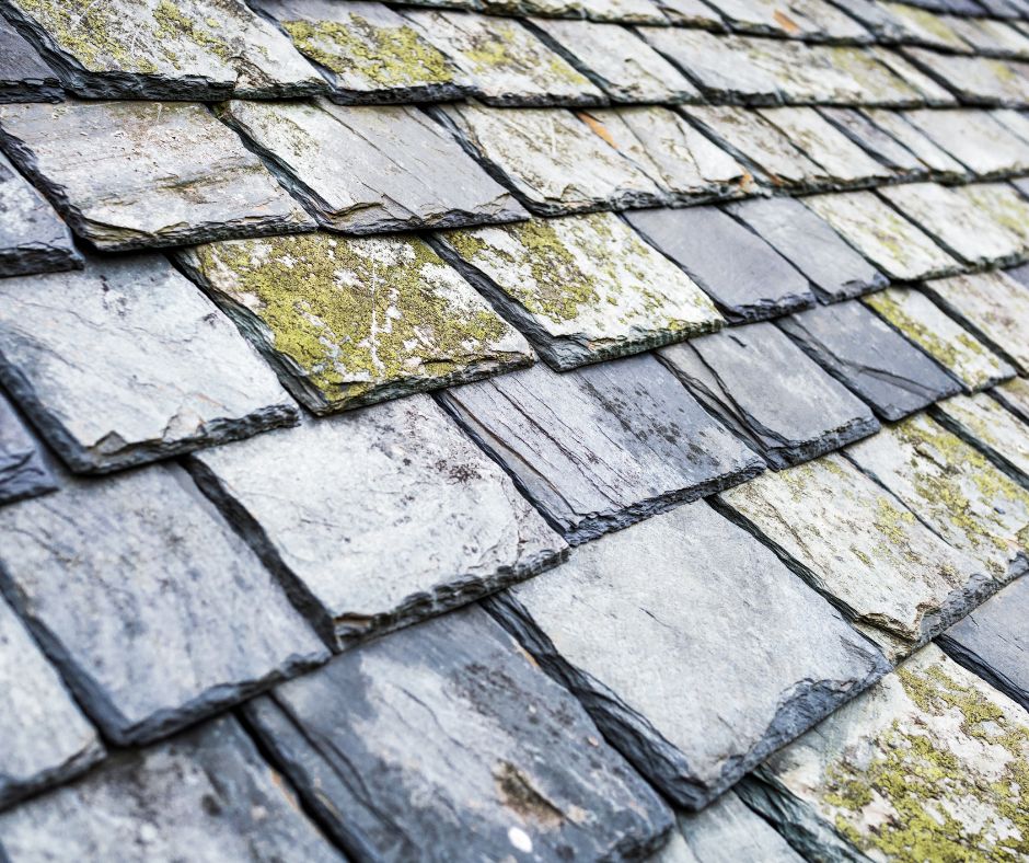 Slate Roof Repair: Critical Signs You Must Not Overlook