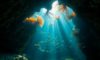 Belize Diving: Explore Hidden Underwater Treasures Beyond the Blue Hole