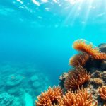 Snorkelling the Belize Barrier Reef: Top Locations and Marine Life