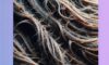 Reversing Heat Damage: Top Strategies and Solutions