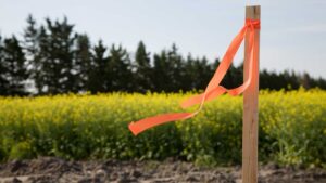 Subdivision Surveys: Essential Guide for Land Division in Clyde North