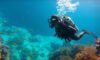 Diving Tips and Guide for Belize’s Big Blue Hole