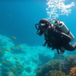 Diving Guide to the Big Blue Hole: Essential Tips for Adventurers