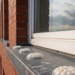 Bird Proofing Solutions: Gel Repellents Without Spikes