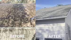Understand the Essential Benefits of Soft Washing for Effective Home Maintenance