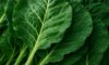 Collard Greens Recipe: Wholesome Slow-Cooked Dinner Delight