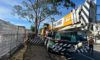Crane-Assisted Tree Removal: Edgeworth Case Study