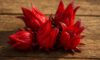 Hibiscus Flowers: Creative Culinary Techniques Revealed