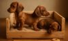 Puppy Comfort: Create a Snug Crate Setup with Ease
