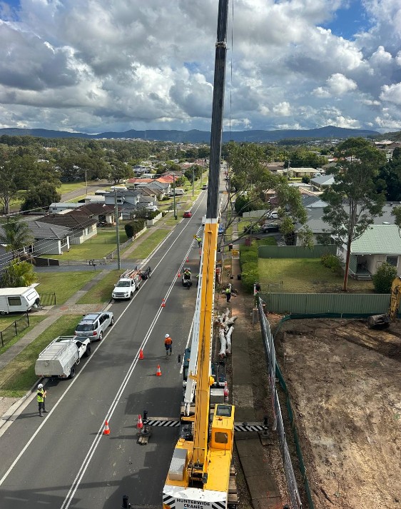 Successful tree removal with crane assistance