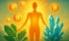 Clean Energy Supplements: Energise Your Day Effectively